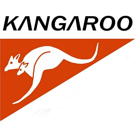 Kangaroo Очиститель универсальный Profoam 2000, 600 мл 320409