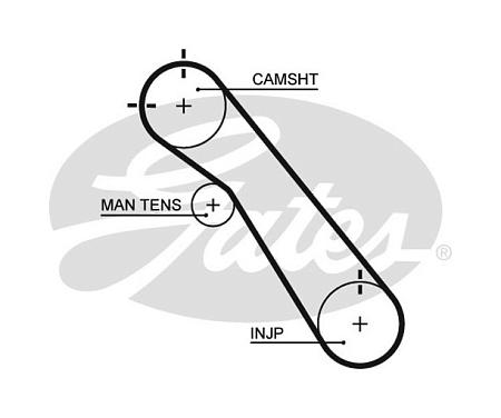 Ремень ГРМ 5548xs