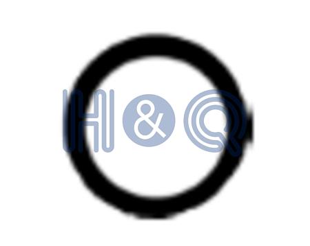 20023016 Прокладка коллектора BMW 1 (E81) 116 i