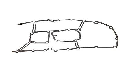 Прокладка кожуха цепи ГРМ 919899