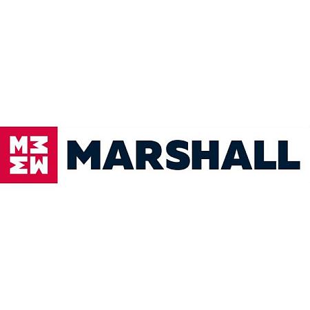 Амортизатор VW TIGUAN 07- зад.газ. M8011480