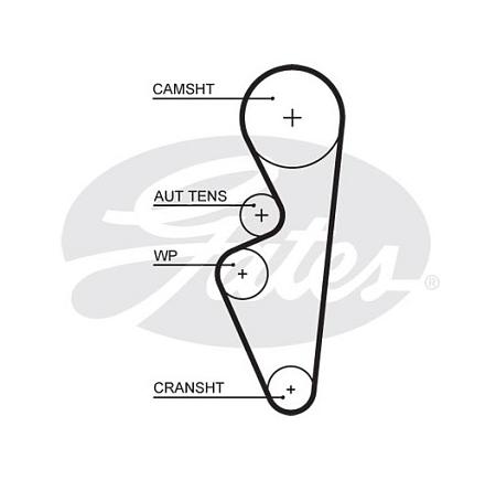Ремень ГРМ 5670xs