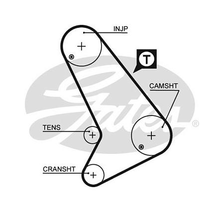 Ремень ГРМ 5571xs
