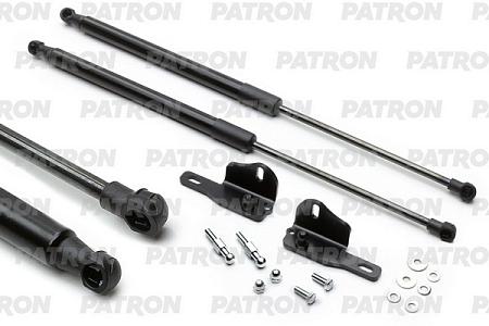 PGS100101 Амортизатор капота