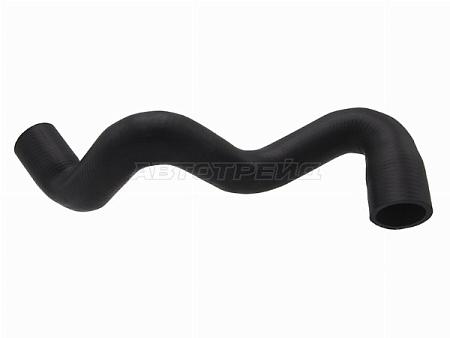 Патрубок радиатора нижний  FORD FOCUS 11-