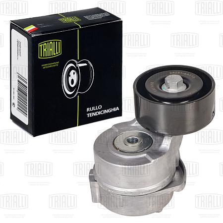 Ролик привод. ремня для а/м Kia Sorento (02-)/Hyundai H-1 (07-) 2.5d (с натяж. мех.) (CM 5050)