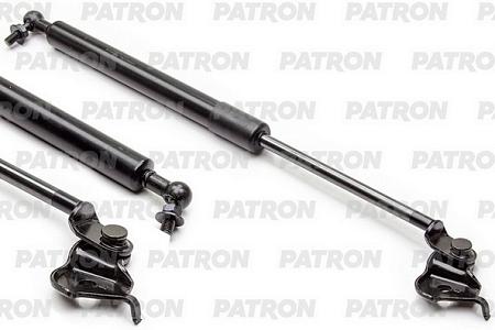 PGS100077 Амортизатор капота