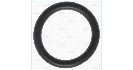 Уплотнительное кольцо 16072600