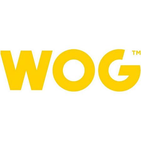 WOG Очиститель контактов высокоэффективный быстросохнущий 75 мл WGC0327