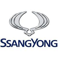 SSANG YONG