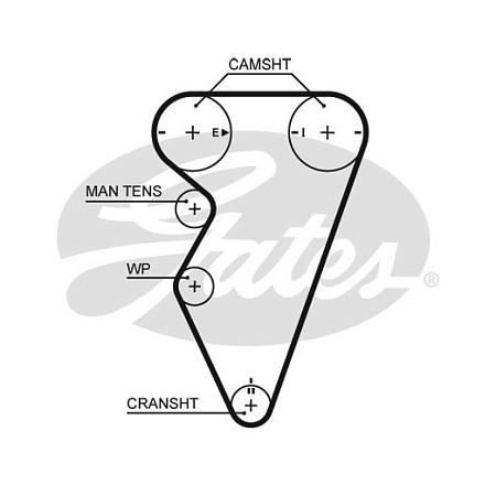 Ремень ГРМ 5416xs