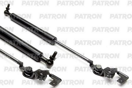 PGS100084 Амортизатор капота